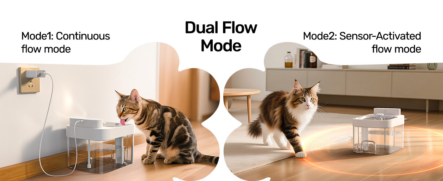 Dual Flow Modes