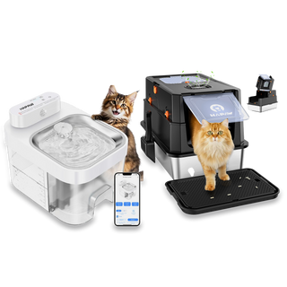 Water Fountain + Litter Box Bundle